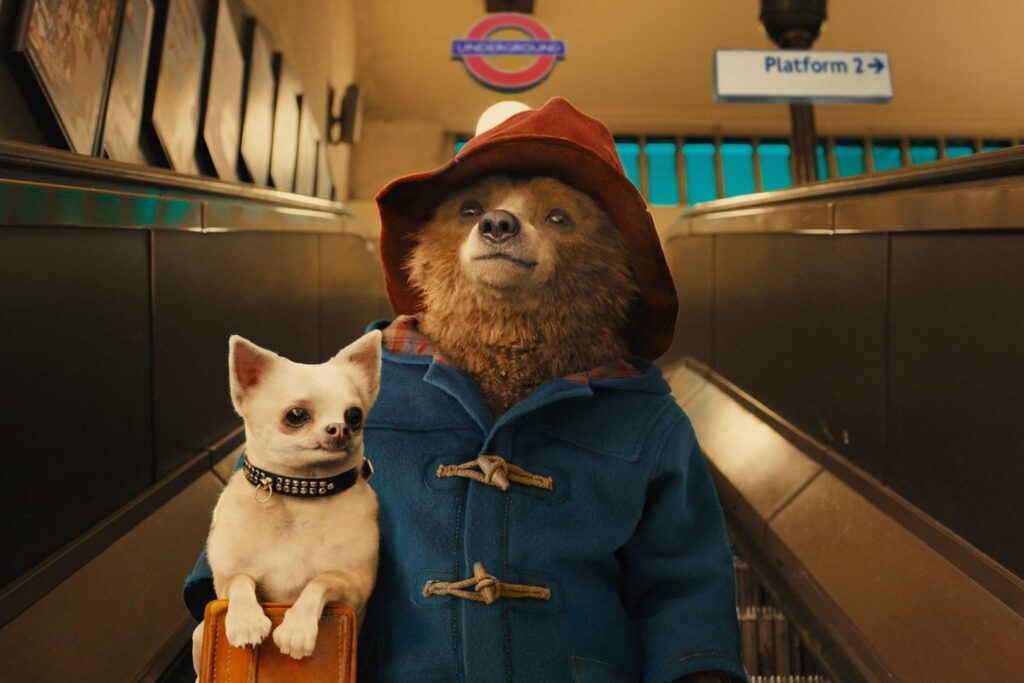 MEDVJEDIĆ PADDINGTON  OSVAJA HRVATSKA SRCA