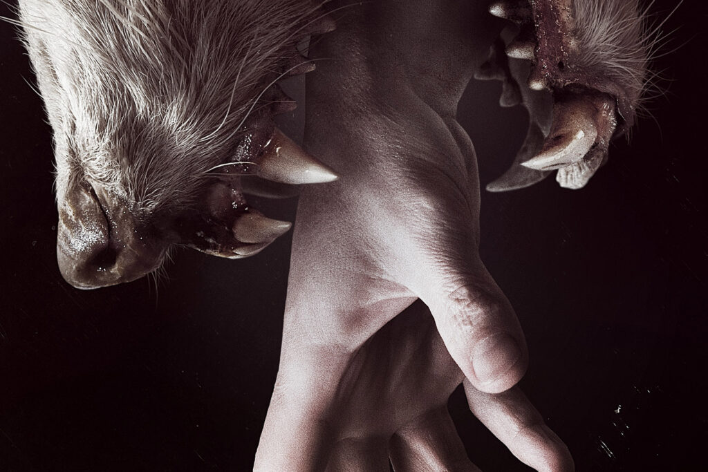 Hemlock Grove I, ep. 9