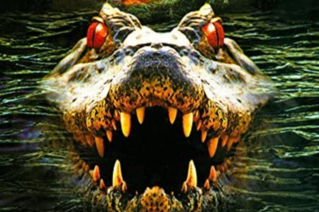 Krokodil 2