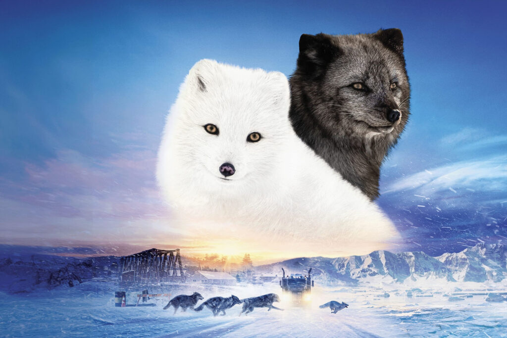 Polarna odiseja